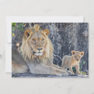 Kutest Baby Animals   Lion Dad & Cub Bedankkaart
