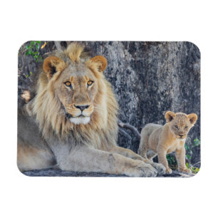 Kutest Baby Animals Lion Dad & Cub Magneet