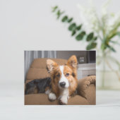 Kutest Baby Animals | Long Hair Corgi Puppy Briefkaart (Staand voorkant)