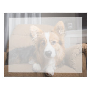 Kutest Baby Animals   Long Hair Corgi Puppy Notitieblok