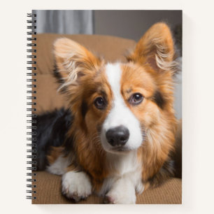 Kutest Baby Animals Long Hair Corgi Puppy Notitieboek