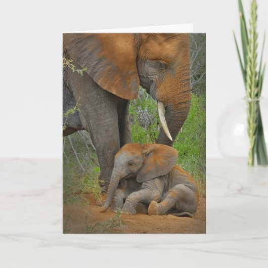Kutest Baby Animals | Mama Elephant & Baby Kaart (Voorkant)
