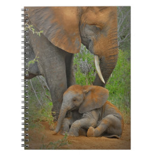 Kutest Baby Animals Mama Elephant & Baby Notitieboek