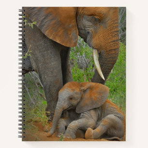 Kutest Baby Animals   Mama Elephant & Baby Notitieboek