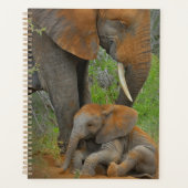 Kutest Baby Animals | Mama Elephant & Baby Planner (Voorkant)