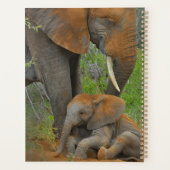 Kutest Baby Animals | Mama Elephant & Baby Planner (Achterkant)