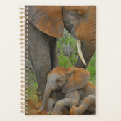 Kutest Baby Animals | Mama Elephant & Baby Planner (Voorkant)