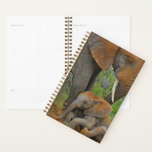 Kutest Baby Animals | Mama Elephant & Baby Planner (Display)
