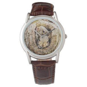 Kutest Baby Animals Merkwaardige Baby eekhoorns Horloge