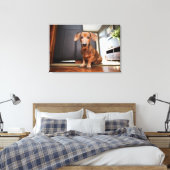 Kutest Baby Animals | Mini Dachshund Puppy Canvas Afdruk (Insitu (Slaapkamer))