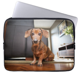 Kutest Baby Animals   Mini Dachshund Puppy Laptop Sleeve