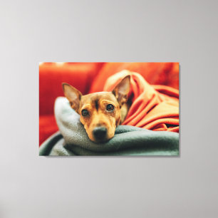 Kutest Baby Animals Miniatuur Pinscher Canvas Afdruk
