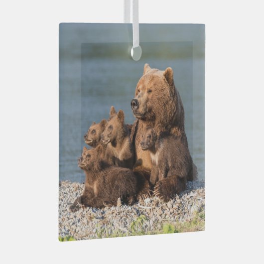 Kutest Baby Animals | Moeder Beer en kubussen Glas Ornament (Voorkant Rechts)