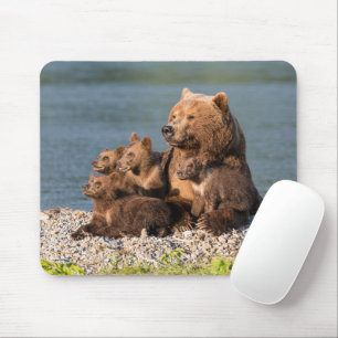 Kutest Baby Animals   Moeder Beer en kubussen Muismat