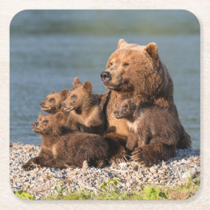 Kutest Baby Animals Moeder Beer en kubussen Vierkante Kartonnen Onderzetter