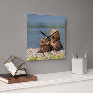 Kutest Baby Animals   Moeder Beer en kubussen Vierkante Klok