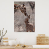 Kutest Baby Animals | Moeder en Baby Giraffe Poster (Keuken)