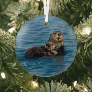 Kutest Baby Animals Moeder en Baby Otter Glas Ornament