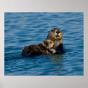 Kutest Baby Animals Moeder en Baby Otter Poster
