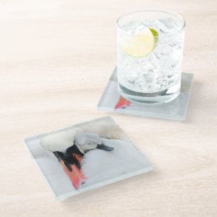 Kutest Baby Animals Moeder en Baby Stomme Swan Glazen Onderzetter