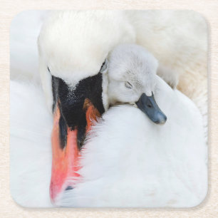 Kutest Baby Animals   Moeder en Baby Stomme Swan Vierkante Kartonnen Onderzetter