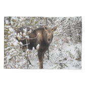 Kutest Baby Animals | Moose Calf Kussensloop (Achterkant)