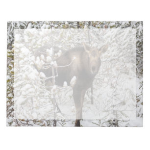 Kutest Baby Animals Moose Calf Notitieblok