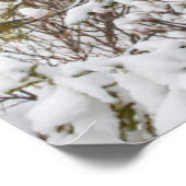 Kutest Baby Animals | Moose Calf Poster (Hoek)