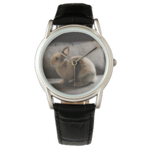 Kutest Baby Animals Nederland Dwarf Rabbit Horloge