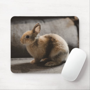 Kutest Baby Animals Nederland Dwarf Rabbit Muismat