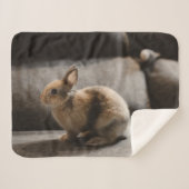 Kutest Baby Animals | Nederland Dwarf Rabbit Sherpa Deken (Voorkant (horizontaal))