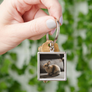 Kutest Baby Animals Nederland Dwarf Rabbit Sleutelhanger