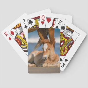 Kutest Baby Animals Newborn Corolla Wild Horse Pokerkaarten