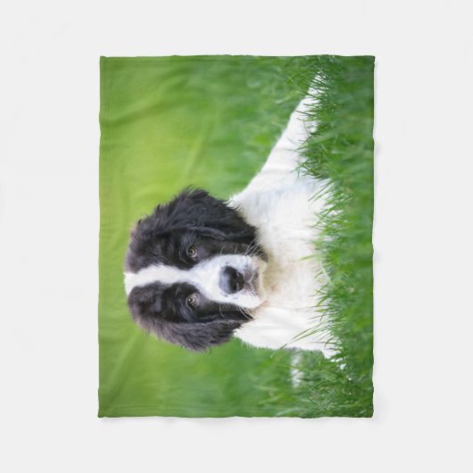 Kutest Baby Animals | Newfoundland Puppy Fleece Deken (Voorkant)