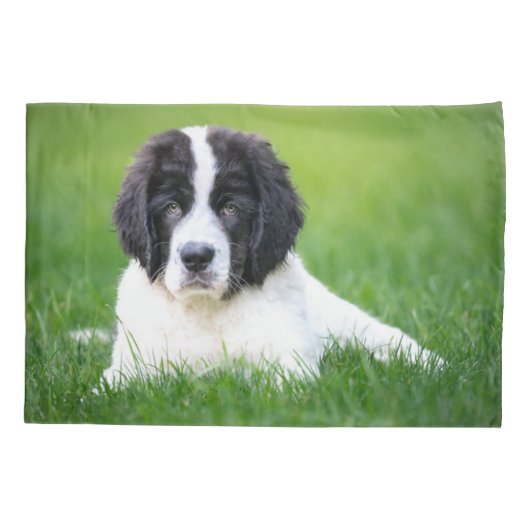 Kutest Baby Animals | Newfoundland Puppy Kussensloop (Achterkant)