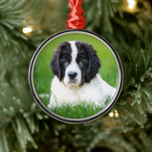 Kutest Baby Animals   Newfoundland Puppy Metalen Ornament