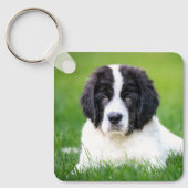Kutest Baby Animals | Newfoundland Puppy Sleutelhanger (Voorkant)