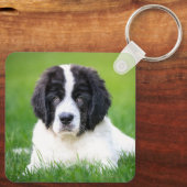 Kutest Baby Animals | Newfoundland Puppy Sleutelhanger (Achterkant)
