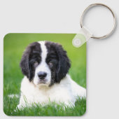 Kutest Baby Animals | Newfoundland Puppy Sleutelhanger (Achterkant)