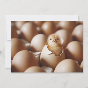 Kutest Baby Animals   Nieuwe Baby Chick Bedankkaart
