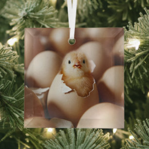 Kutest Baby Animals Nieuwe Baby Chick Glas Ornament