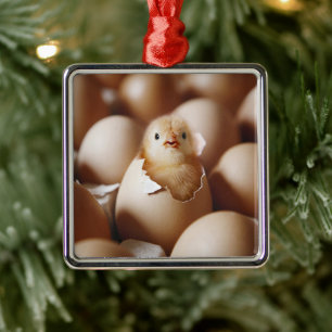Kutest Baby Animals Nieuwe Baby Chick Metalen Ornament