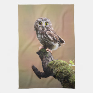 Kutest Baby Animals   Noordelijke Saw Whet Owl Theedoek