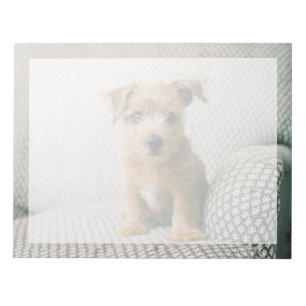 Kutest Baby Animals Norfolk Terrier Puppy Notitieblok