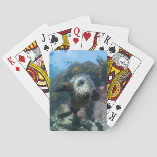 Kutest Baby Animals   Onderwater Kaapverdische zeg Pokerkaarten