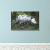 Kutest Baby Animals | Opossum mam & Kinderen Canvas Afdruk (Insitu (Houten vloer))