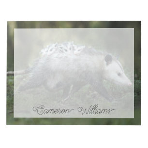 Kutest Baby Animals   Opossum mam & Kinderen Notitieblok