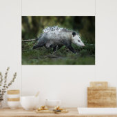 Kutest Baby Animals | Opossum mam & Kinderen Poster (Keuken)
