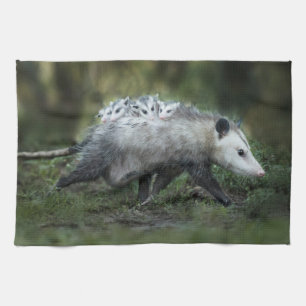 Kutest Baby Animals   Opossum mam & Kinderen Theedoek