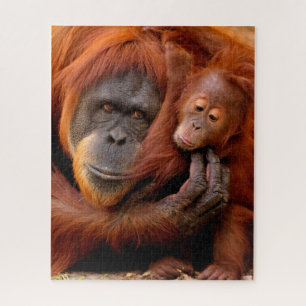 Kutest Baby Animals   Orangutan Mam & Baby Legpuzzel